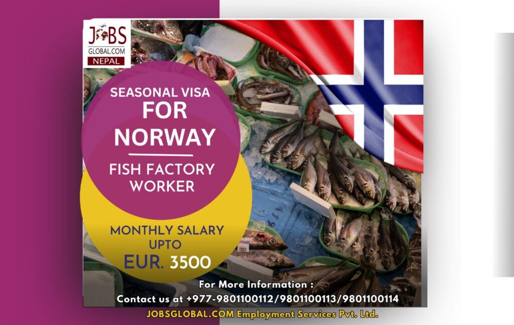 Fish Factory Worker Job Demand From Norway, New Job Vacancy in Norway Demand for Fish Factory Worker